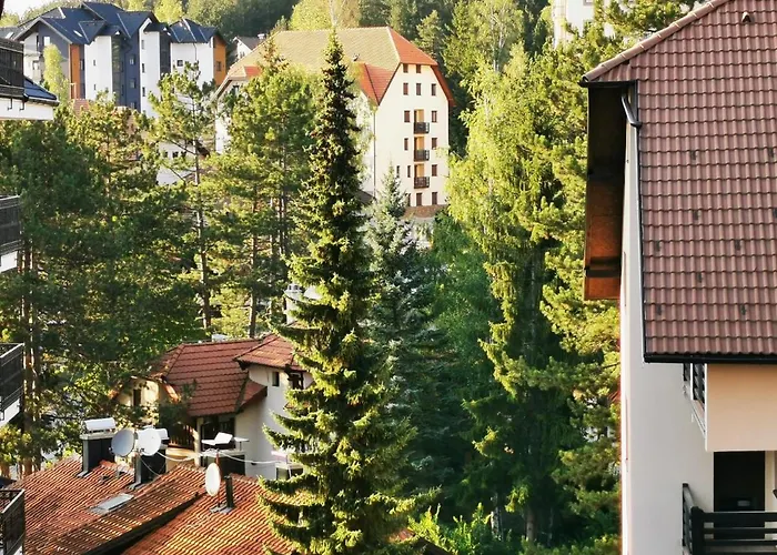 Zlatibor, Centar, Bella * زلاتيبور